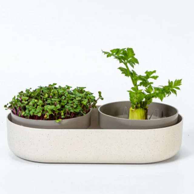 plastia microgreens regrow.png